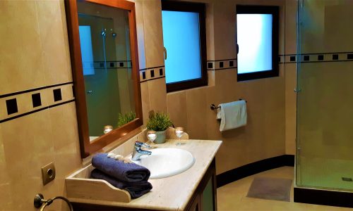 Large bathroom with toilet and shower3